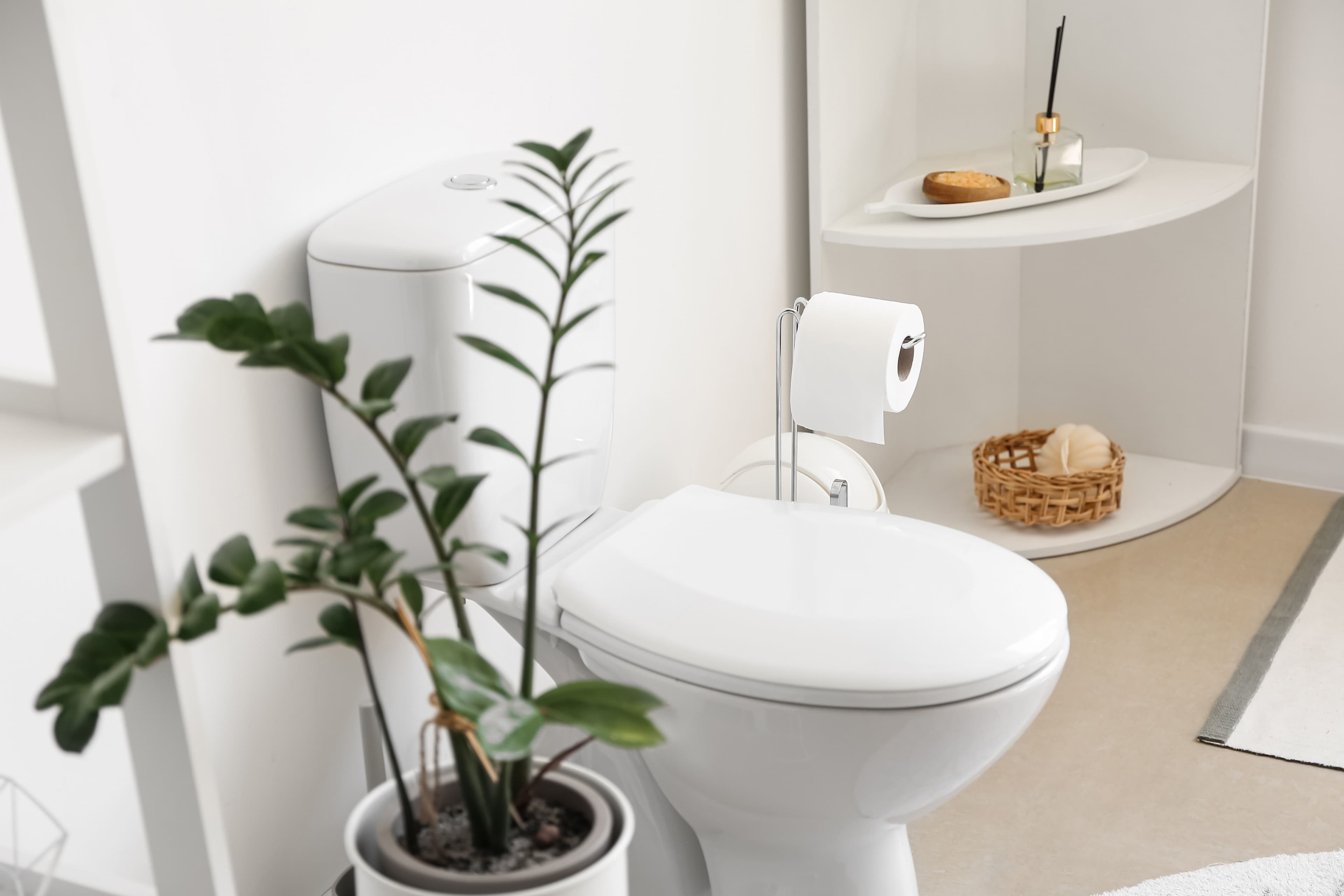 Toilet Repair image