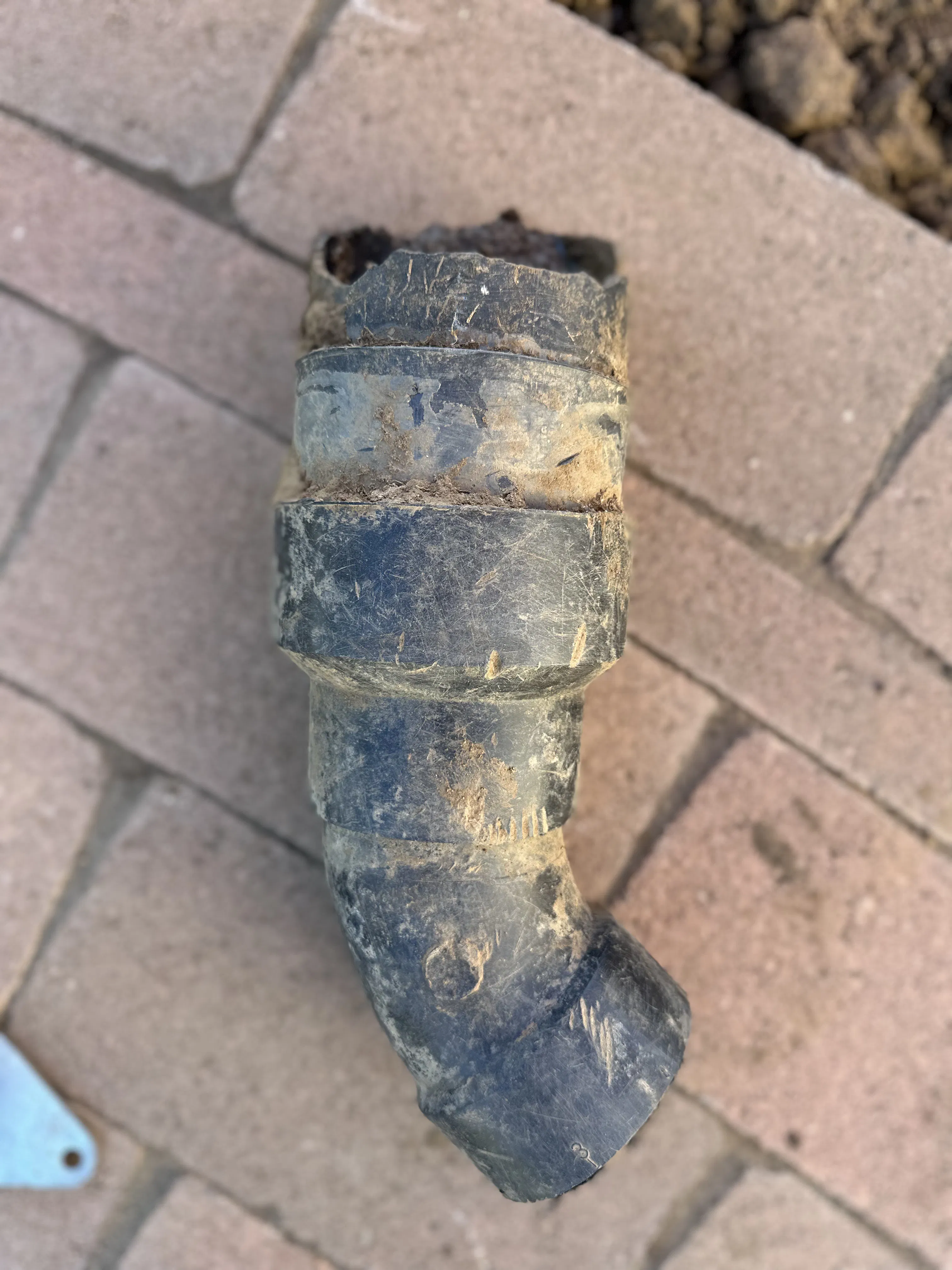 Project Sewer Line Disconnected at the Septic Tank - Here's What We Found image