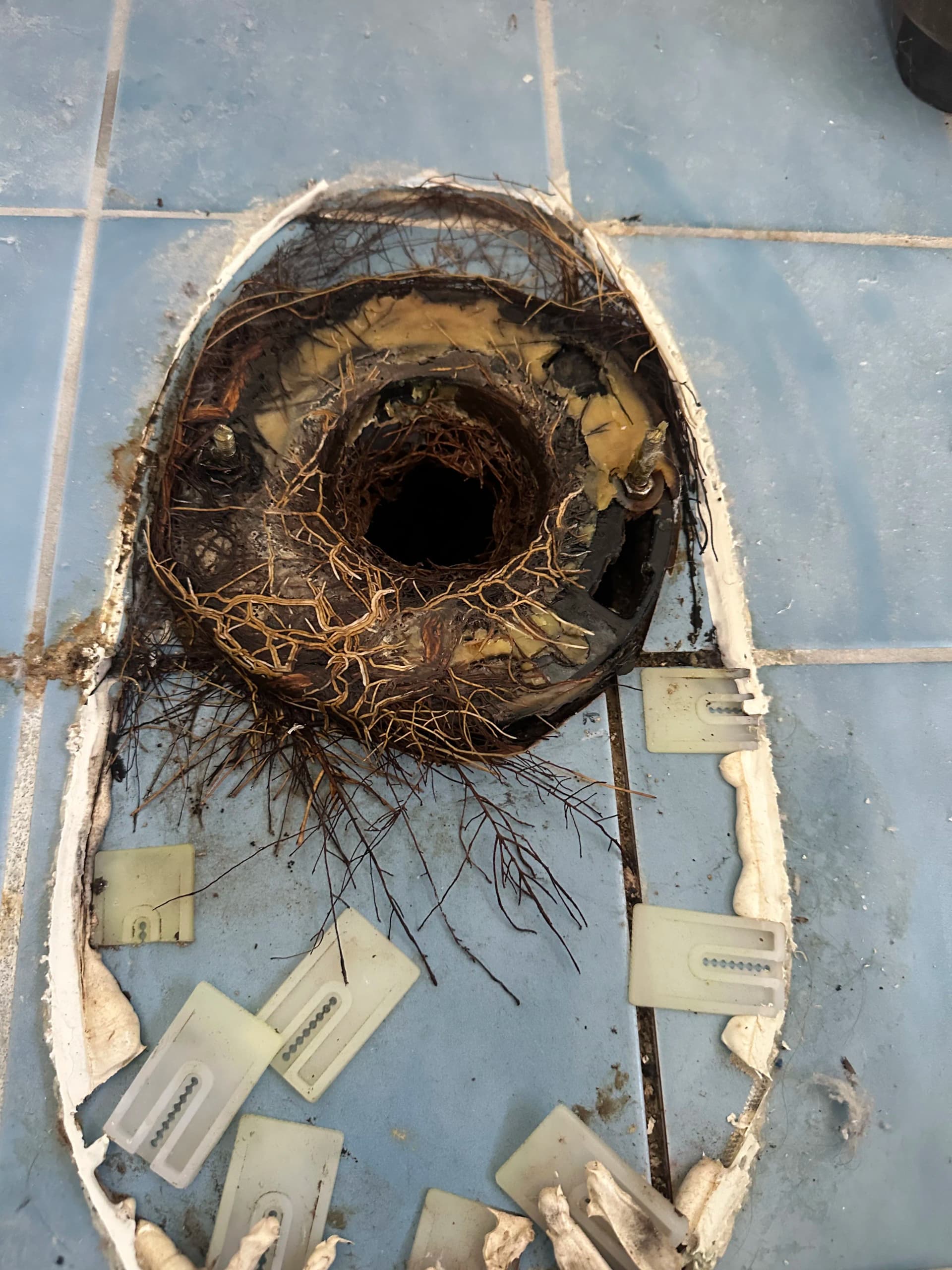 Gallery photos for When a Slow Toilet Is Actually a Root Infestation: Image #1