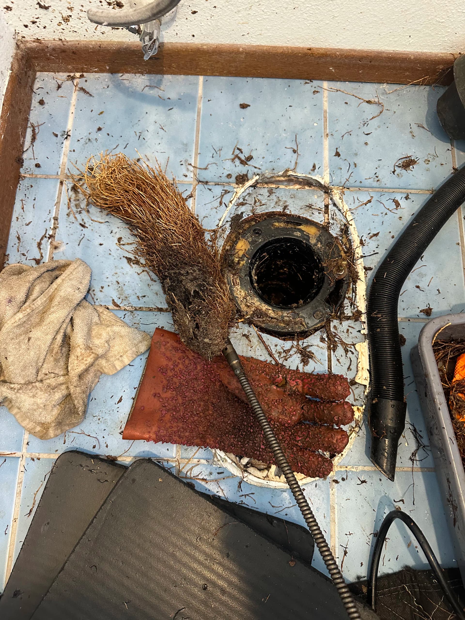 When a Slow Toilet Is Actually a Root Infestation image