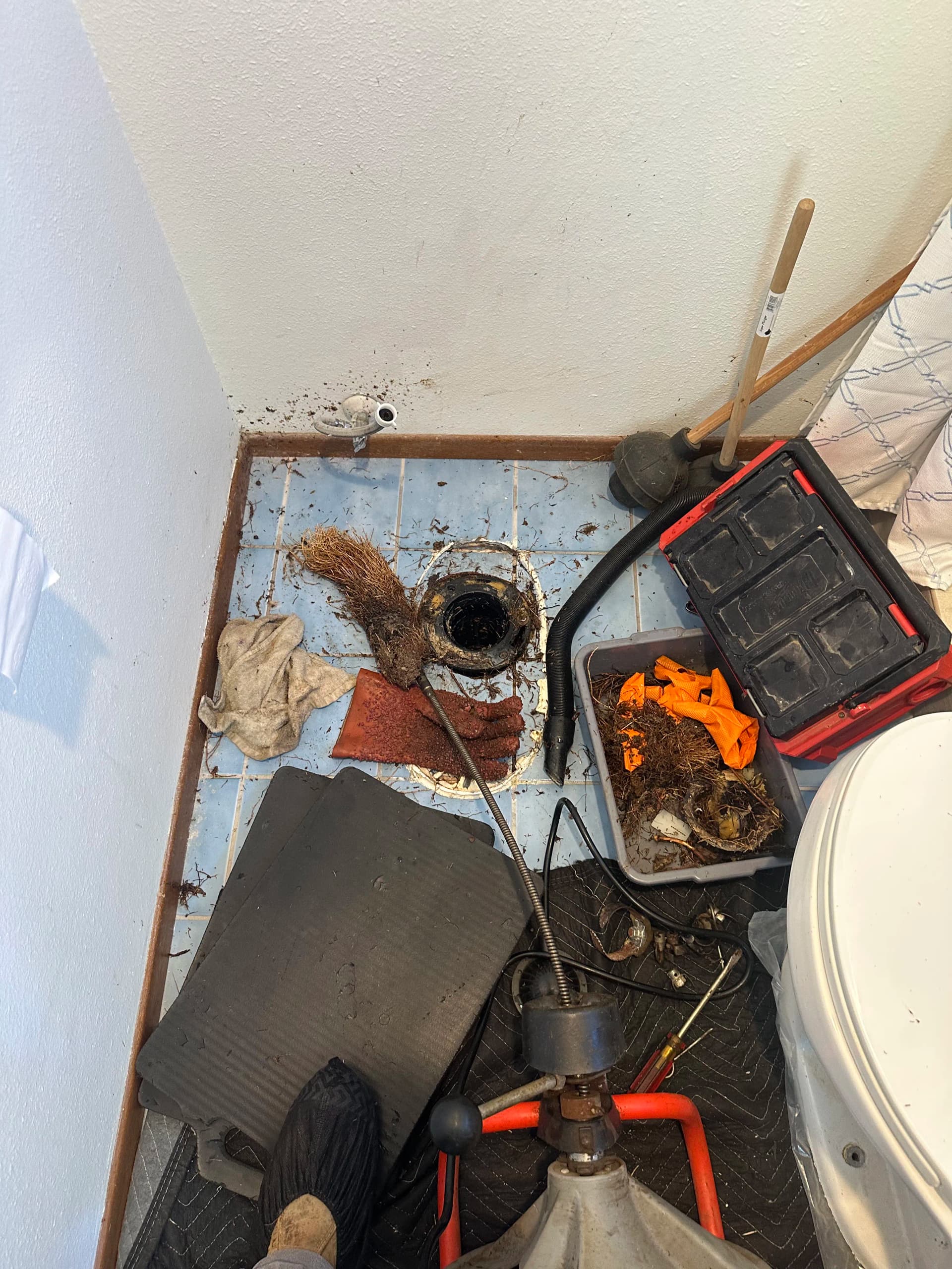 Gallery photos for When a Slow Toilet Is Actually a Root Infestation: Image #2